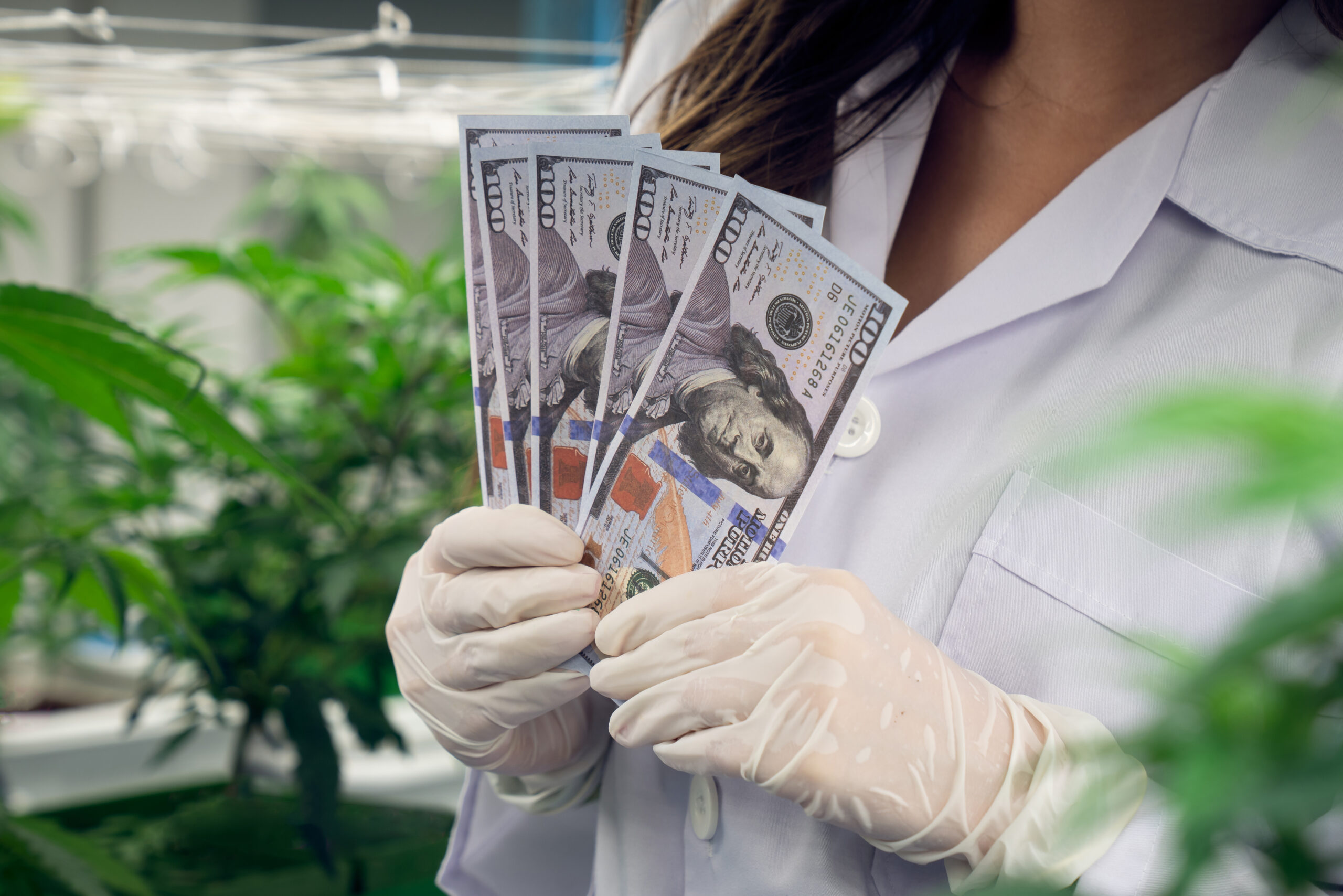 Navigating the Landscape of Medicinal Cannabis Expenses