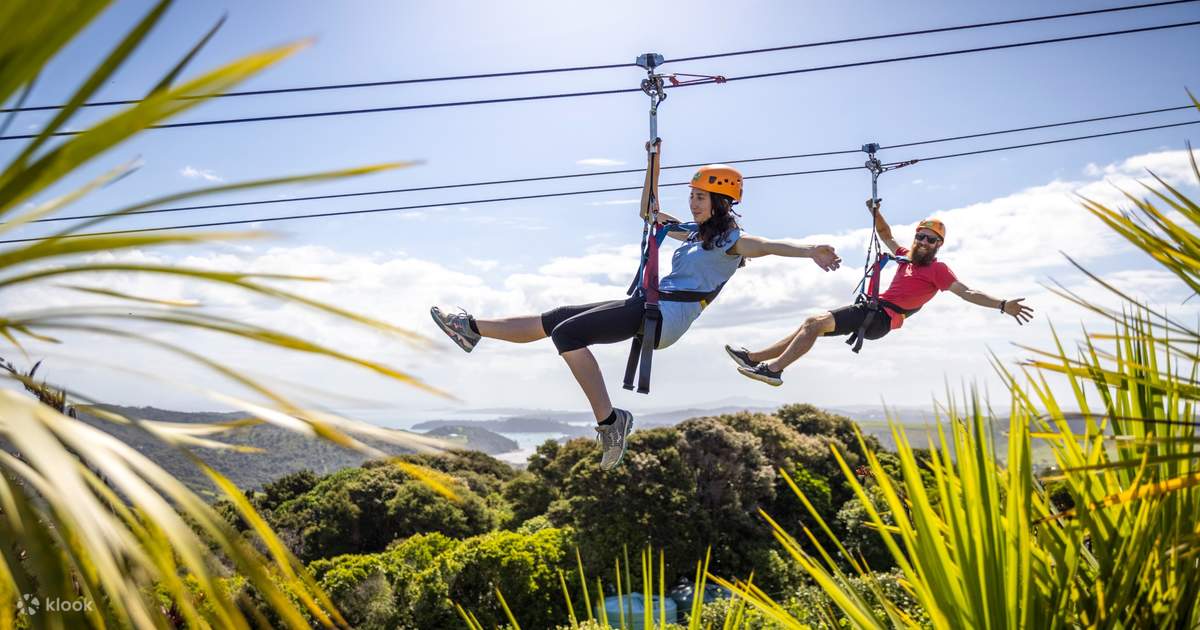 Why You Should Experience Zipline in Munnar During Kerala Trip?