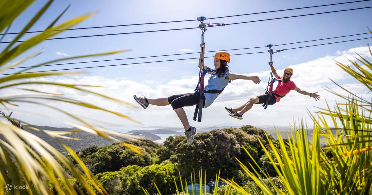 Zipline in Munnar